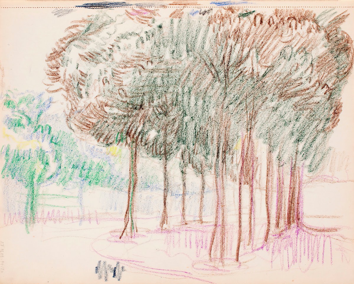 Maisema puita 1910   1911