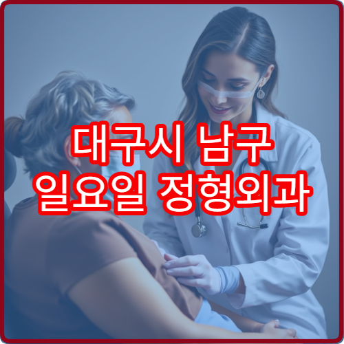 대구시 남구 일요일 정형외과 진료 가능한 병원을 비교한 최신 자료