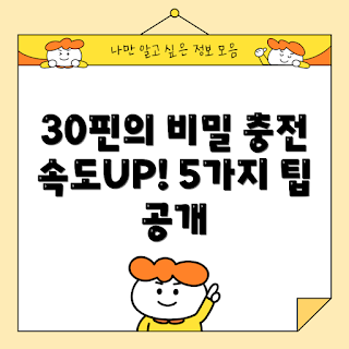 30핀충전기, 충전 속도, 빠른 충전, 충전 팁, 스마트폰 충전