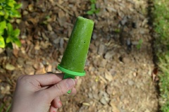 Đổ hỗn hợp vào khuôn và làm đông lạnh. Kem cải bó xôi trái cây giàu dinh dưỡng, vitamin và khoáng chất tốt cho sức khỏe. Hãy làm sự trữ kem này dùng thường xuyên để luôn được khỏe mạnh nhé!