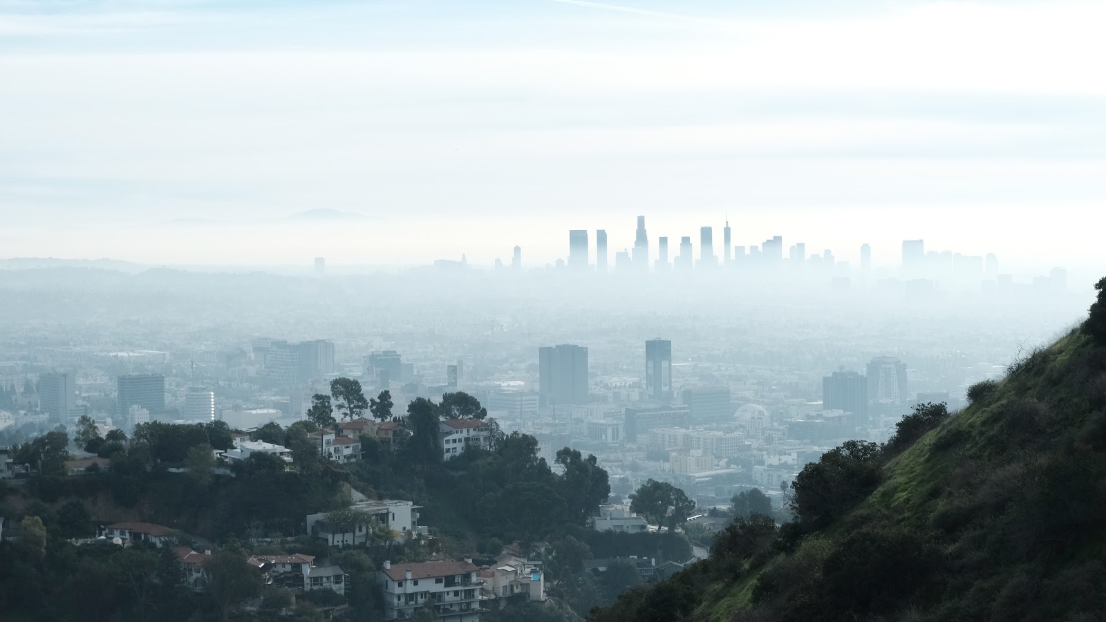 The Hollywood Hills