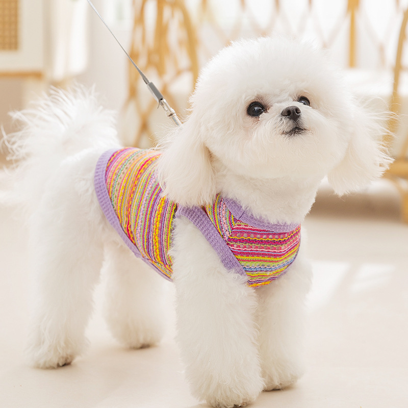 Perforated Knit Top for Small Dogs, Summer
