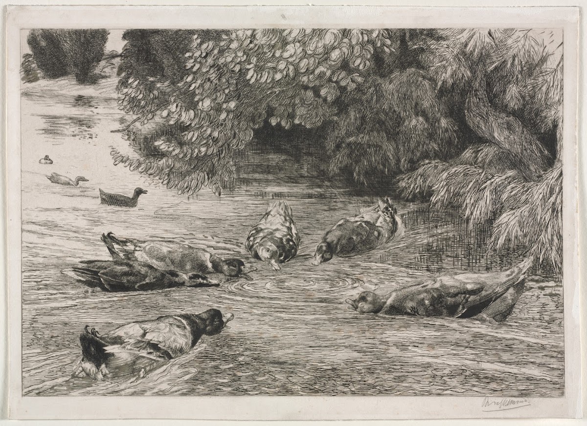 The Question Mark c 1865