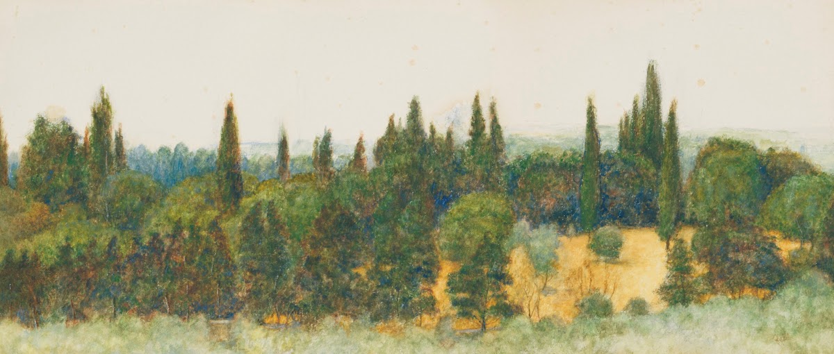 An Italian valley with pine trees