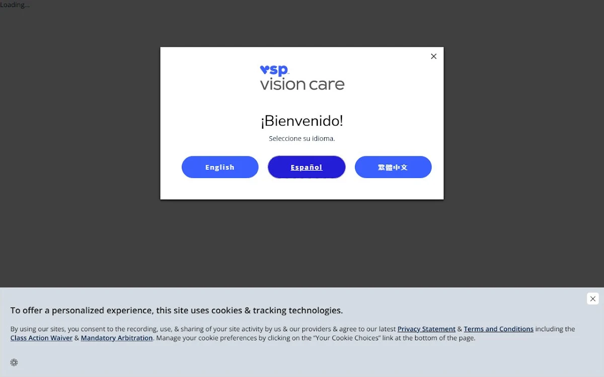 Captura de VisionCare