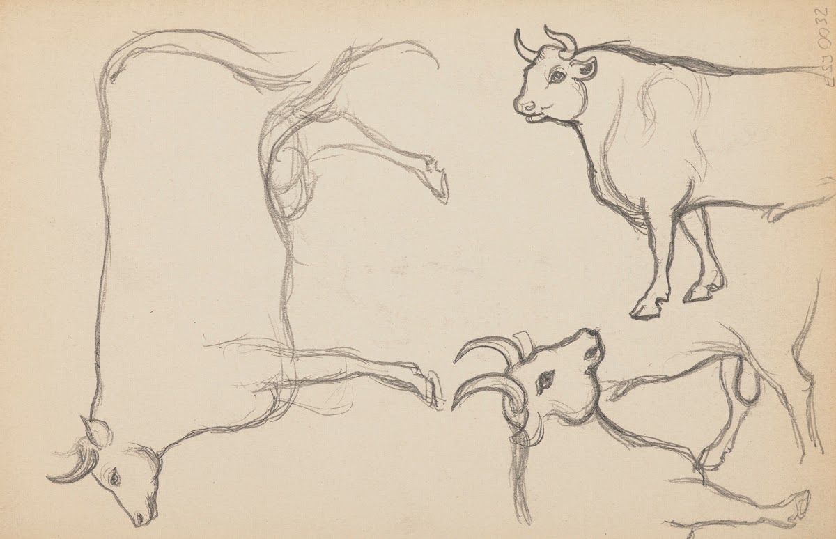 Études danimaux de paysages et de modèles