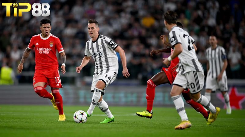 Lịch sử đối đầu giữa Juventus vs Benfica