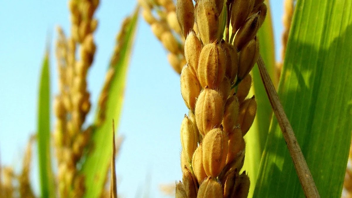 종합소득세 신고 시 절세를 위한 비용 처리 기준과 심리적 태도