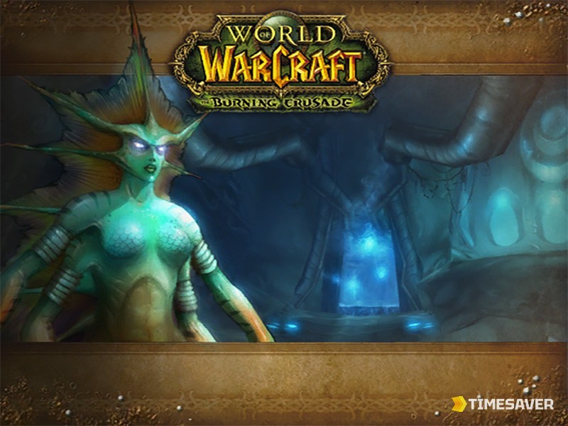 Serpentshrine Cavern loading screen — the current Phase 2 raid content on TBC Anniversary realms