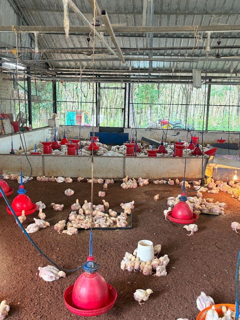 Campus Farm – View 2