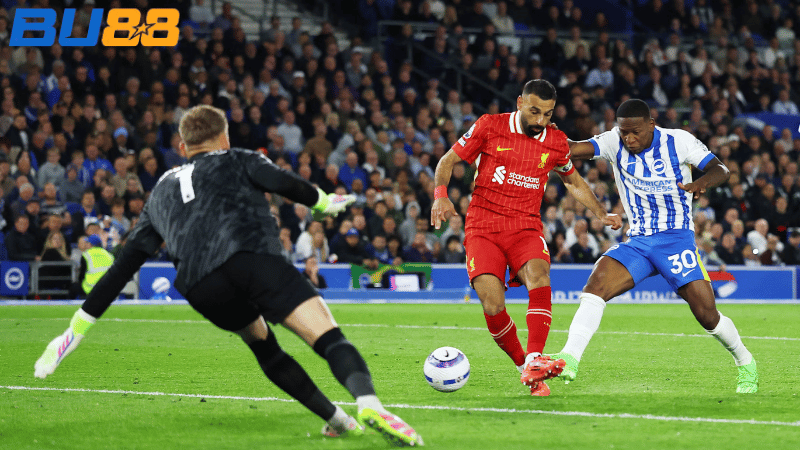 Phong độ gần đây của Liverpool - Brighton