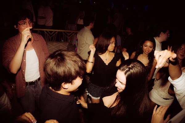 Paradisco photo 13
