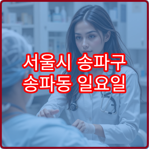 서울시 송파구 송파동 일요일 소아과 진료 병원 주말 운영