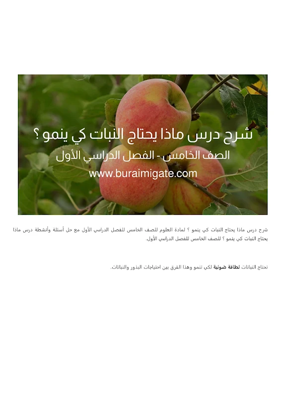 صورة الغلاف
