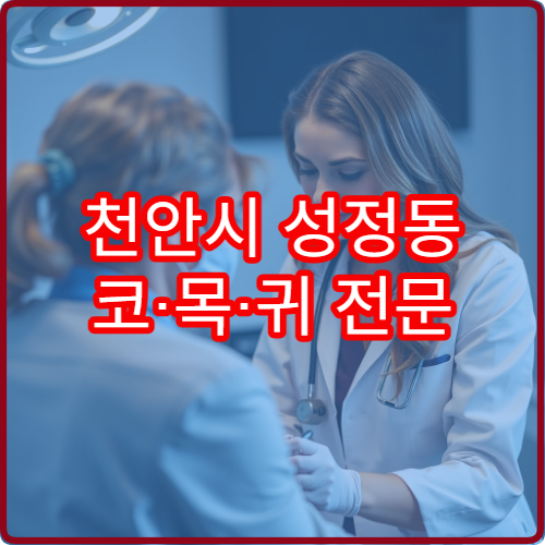 천안시 성정동 코·목·귀 전문 이비인후과 야간진료 안내