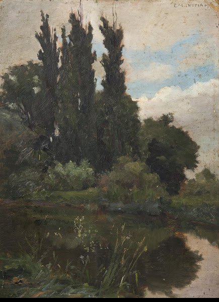 Poplars by the Water
