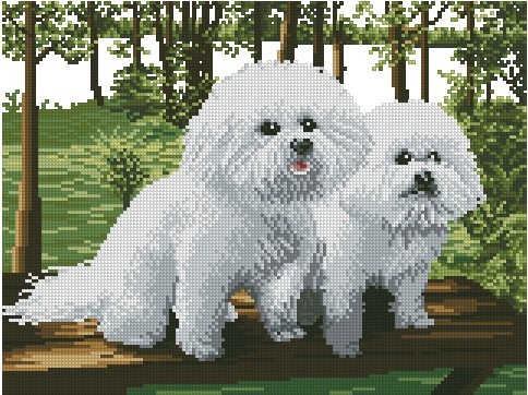 CMP P209 The Dog