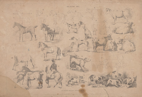 Plate XV JR Smiths juvenile drawing book 1822