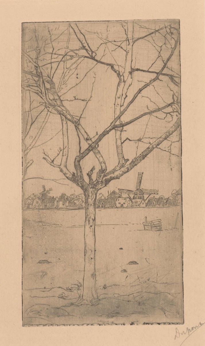 Kale fruitboom 1893 1894