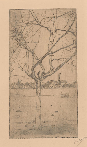 Kale fruitboom 1893 1894