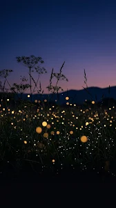 Bioluminescent Fireflies in Wildflower Field Wallpaper