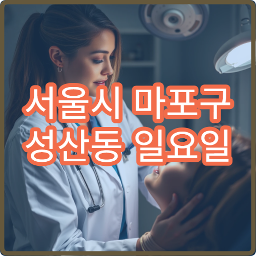 서울시 마포구 성산동 일요일 내과 복통 소화불량 진료 병원 정보
