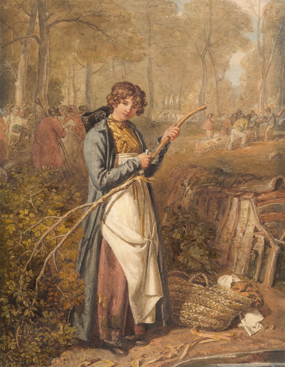 Barking Timber in Wychwood Forest Oxfordshire 1818