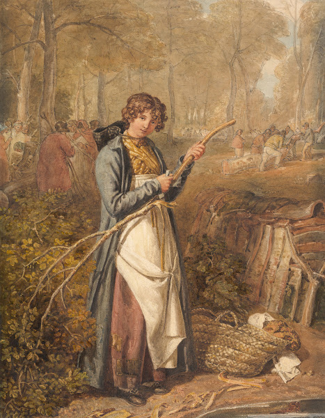 Barking Timber in Wychwood Forest Oxfordshire 1818