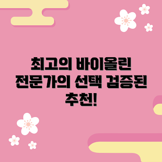 파가니니바이올린 추천, 바이올린 선택 가이드, 파가니니 바이올린, 검증된 바이올린, 전문가 추천 바이올린