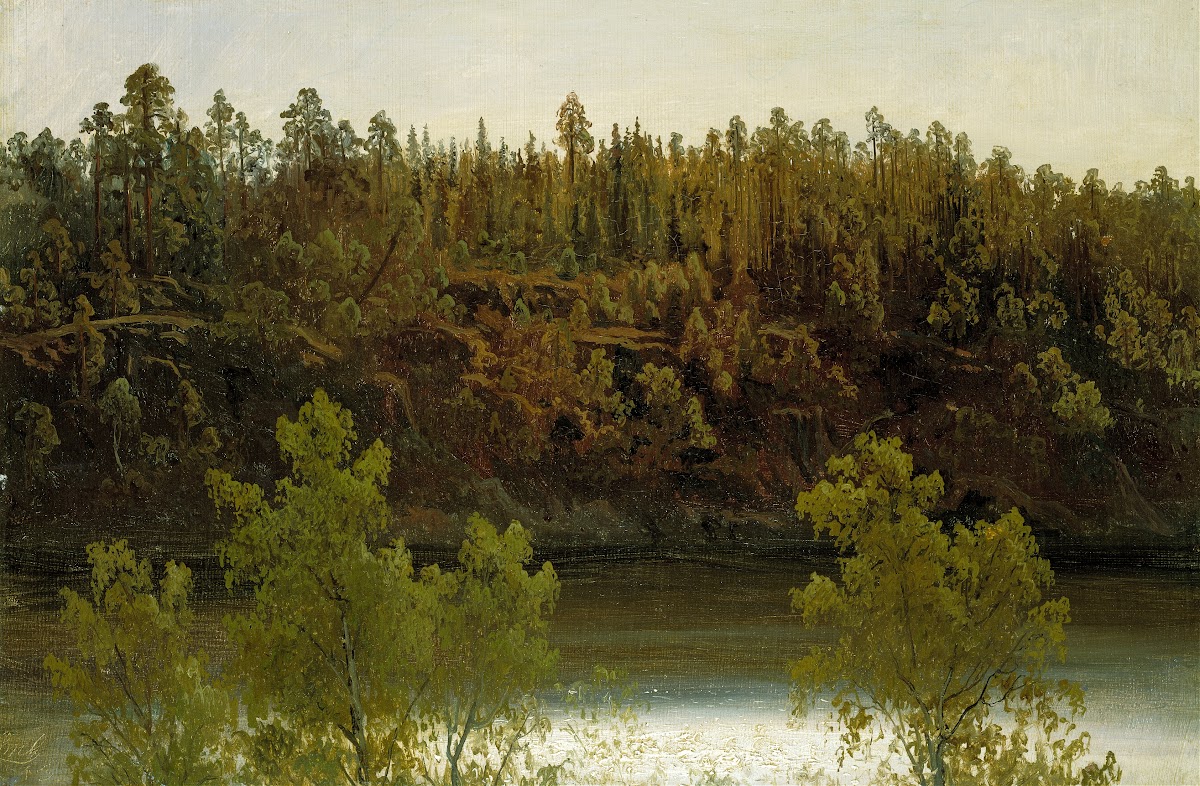 Swedish Lake Study 1853