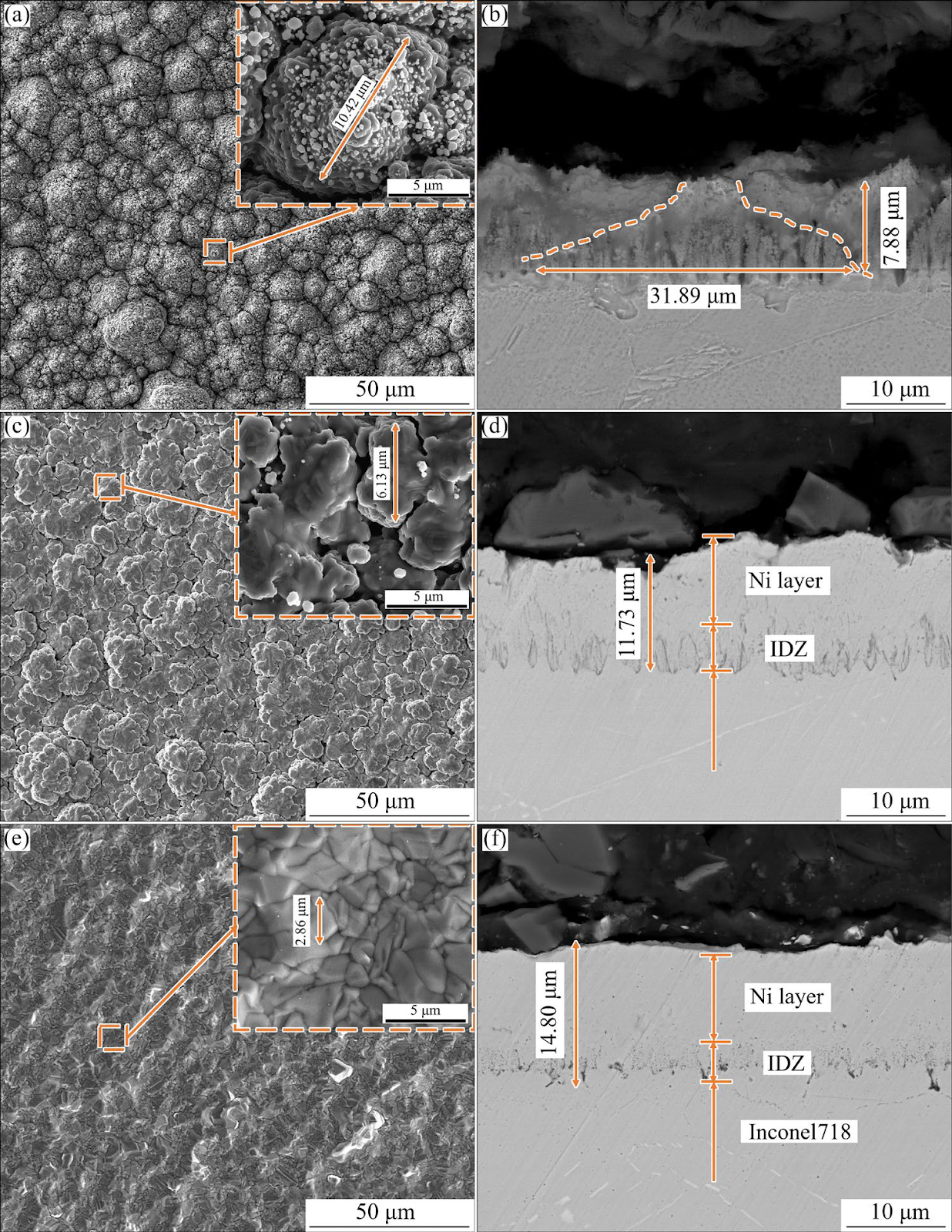 Enhancing adhesion in columnar crystal Ni coatings via interface-pinning structure optimization