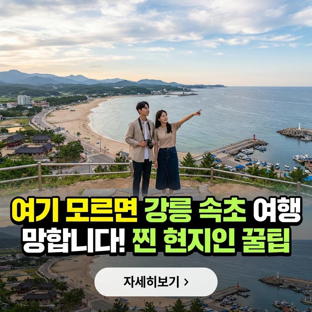 아이와 함께, 강릉 속초 24시 완벽 가이드