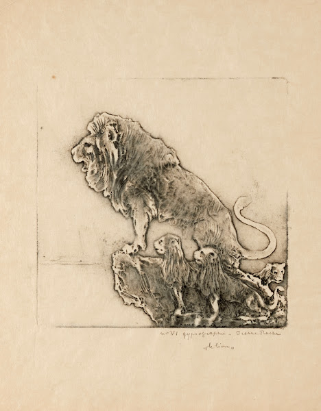 Le lion 1906