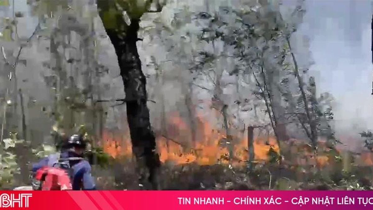 Huy động lực lượng tập trung chữa cháy rừng ở xã Cẩm Lạc - Báo Hà Tĩnh