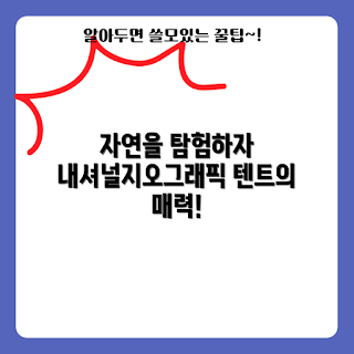 내셔널지오그래픽텐트, 자연 탐험, 캠핑 초보, 내셔널지오그래픽 텐트 리뷰, 아웃도어 팁