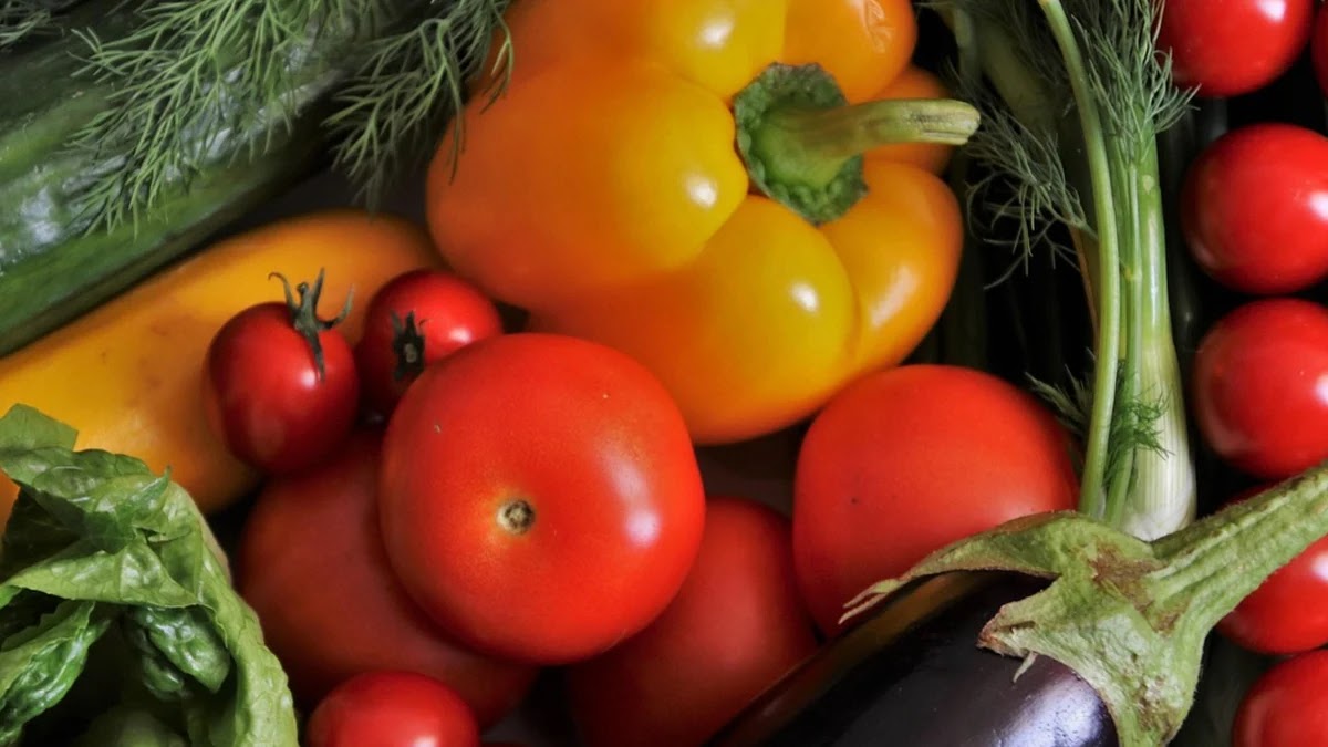 다이어트 중 놓치기 쉬운 필수 영양소와 섭취 방법