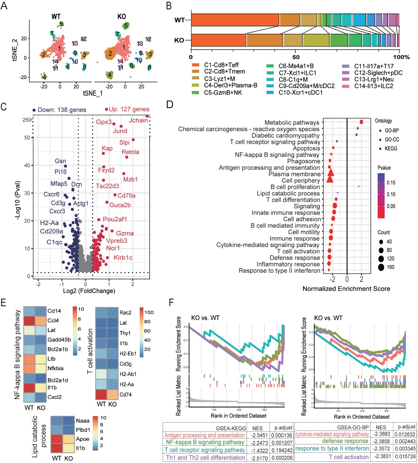 Single-cell transcriptomics reveals apolipoprotein A4-mediated metabolic-immune reprogramming in lymphocytes during early obesity-related chronic kidney disease