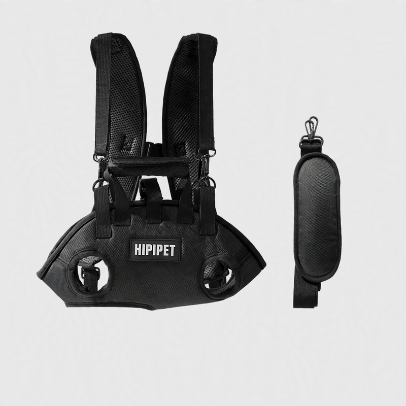 Multifunctional pet bag with leash
