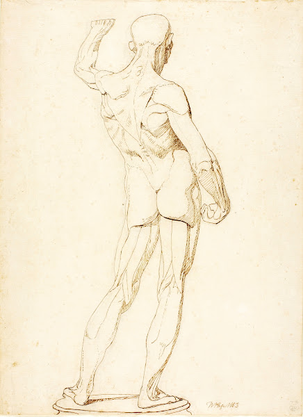 An Ecorche Rear View 1853