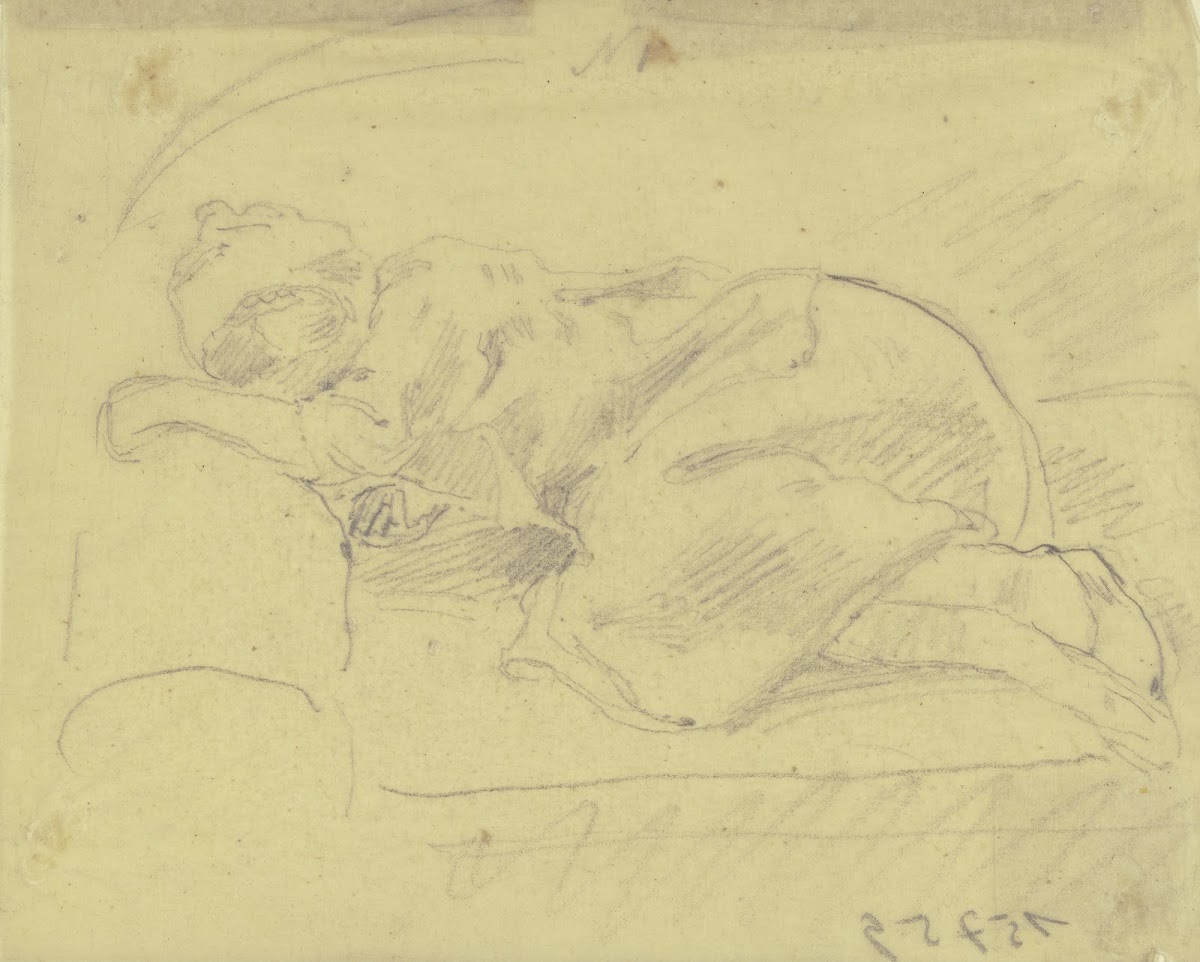 Sleeping girl