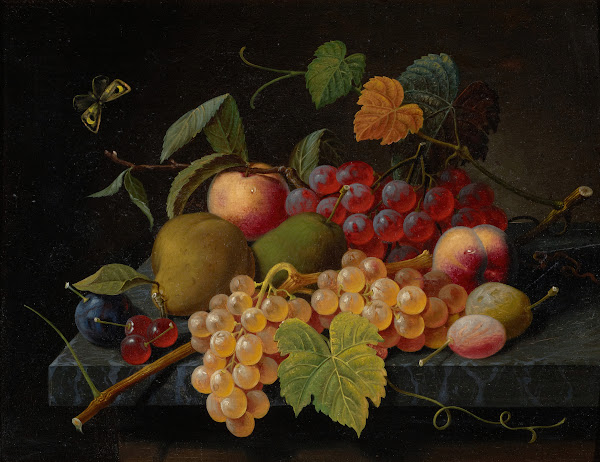 Fruit Still Life with Moth circa 1860 1872