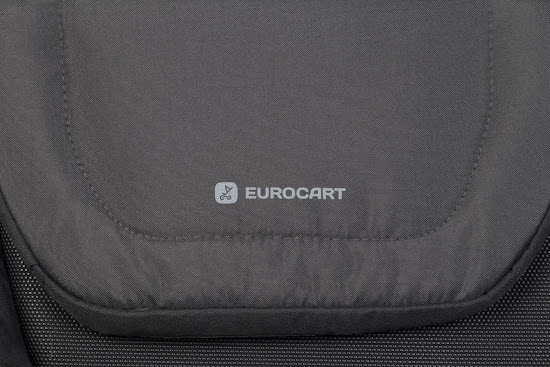 Stroller for twins Euro-Cart Doblo 2024 Iron