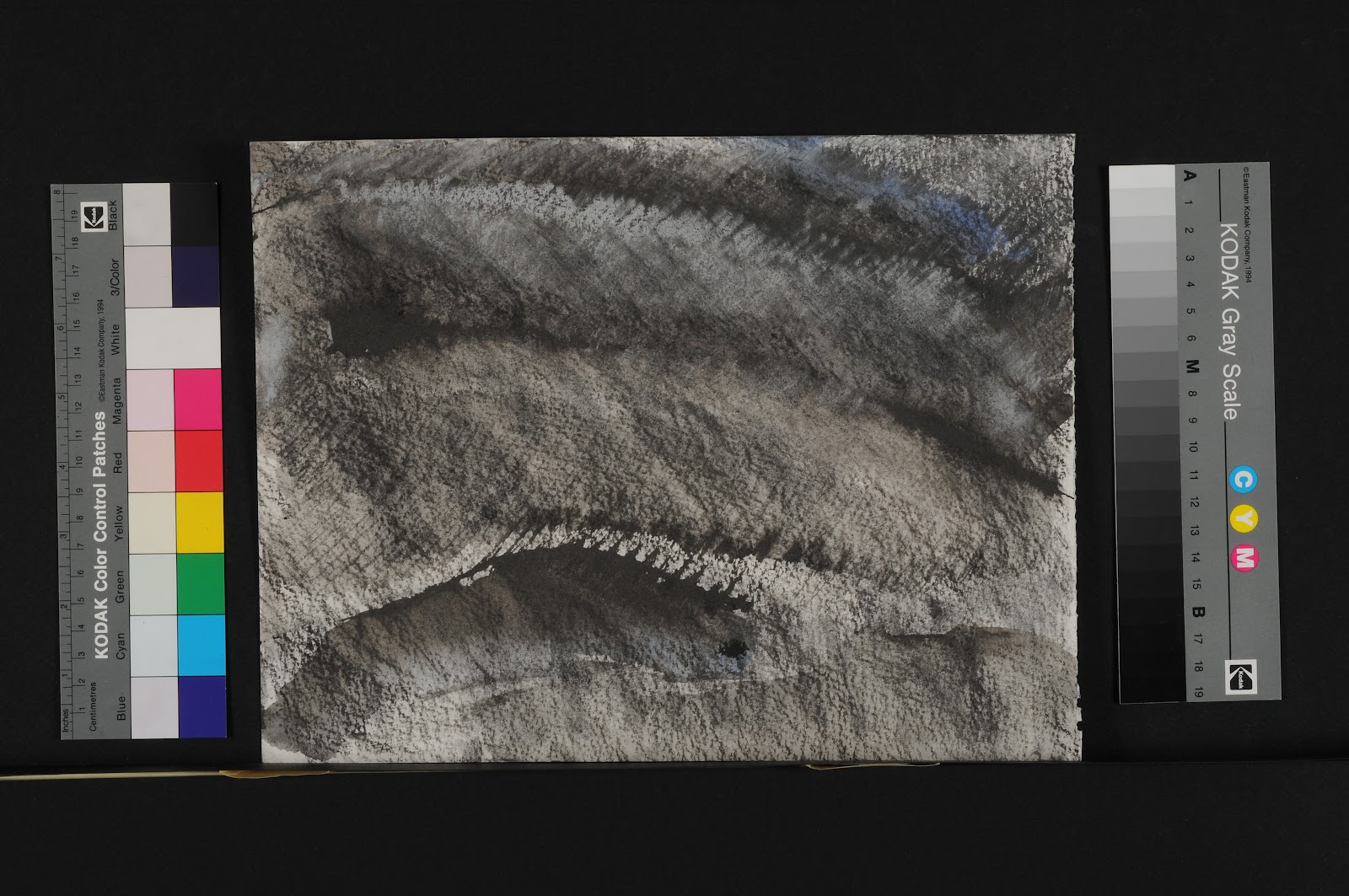 charcoal drawings