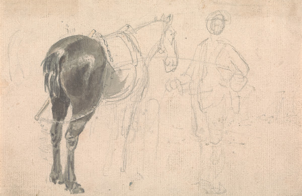 Farm horse being held by a stable lad
