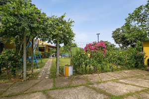 Gold 4PN – Chill Garden, Ba Vì – ảnh 19