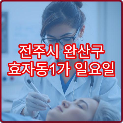 전주시 완산구 효자동1가 일요일 진료 산부인과 여성 질환 상담