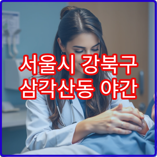 서울시 강북구 삼각산동 야간 응급의학과 쇼크·어지럼증 응급 병원