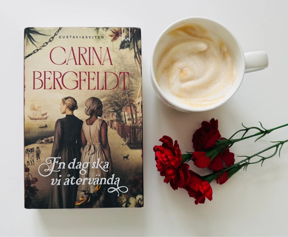 En dag ska vi återvända av Carina Bergfelt