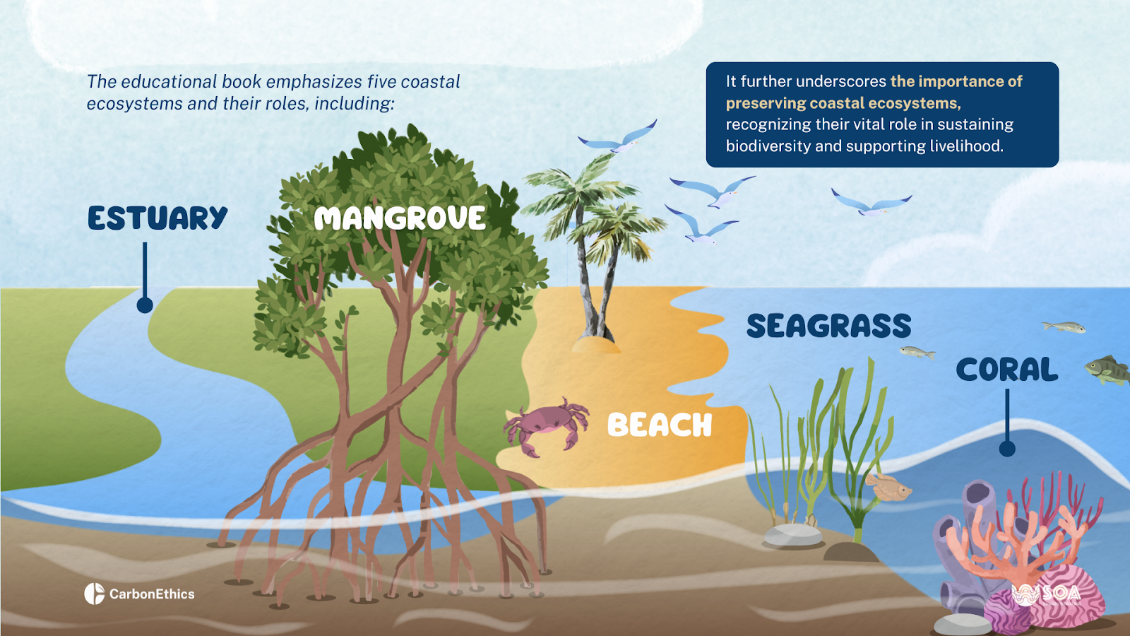 Illustration of five coastal ecosystems: estuary, mangrove, beach, seagrass, coral. Includes text on ecosystem roles and preservation.