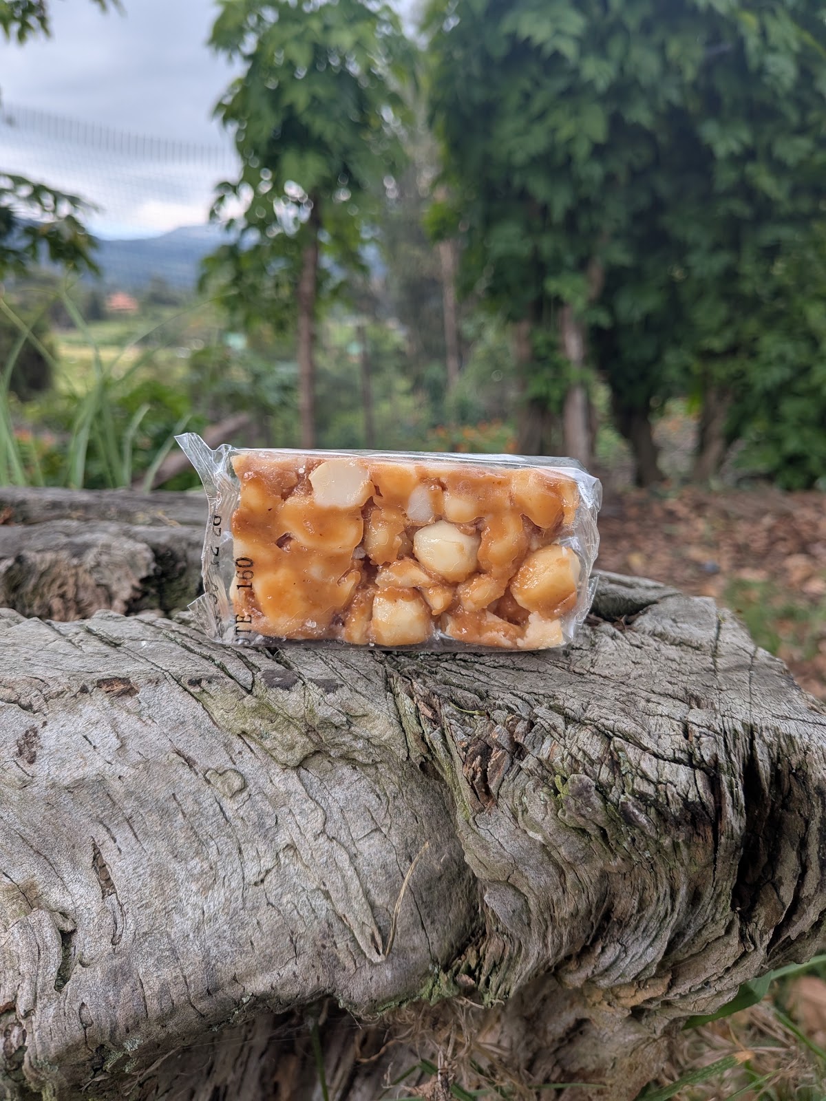 Comprar Turron de macadamia orgánico